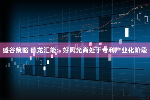 盛谷策略 德龙汇能：好风光尚处于专利产业化阶段