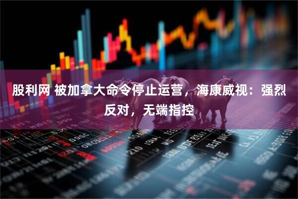 股利网 被加拿大命令停止运营，海康威视：强烈反对，无端指控