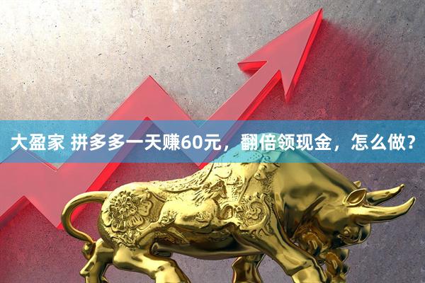 大盈家 拼多多一天赚60元，翻倍领现金，怎么做？