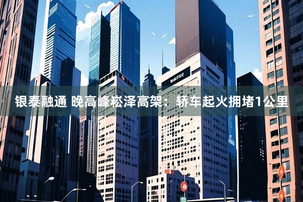 银泰融通 晚高峰崧泽高架：轿车起火拥堵1公里